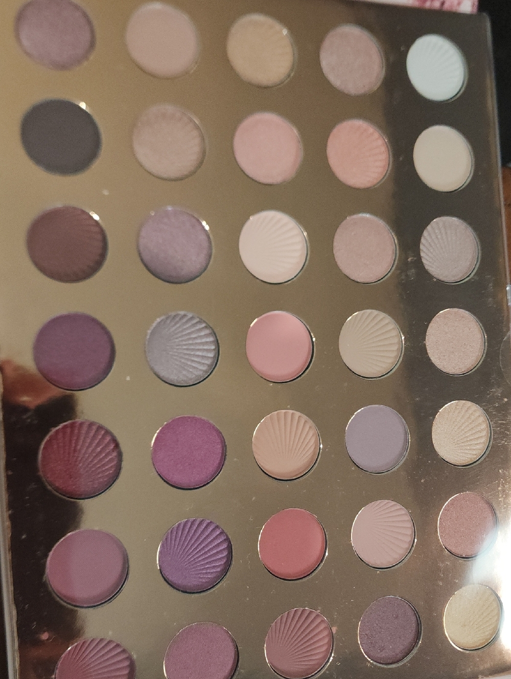 35 Eyeshadow pallet Ellen Tracy